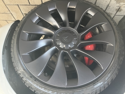 Tesla Model 3 Performance AWD