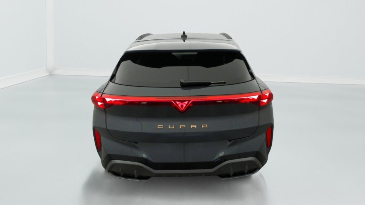 Cupra Terramar 5