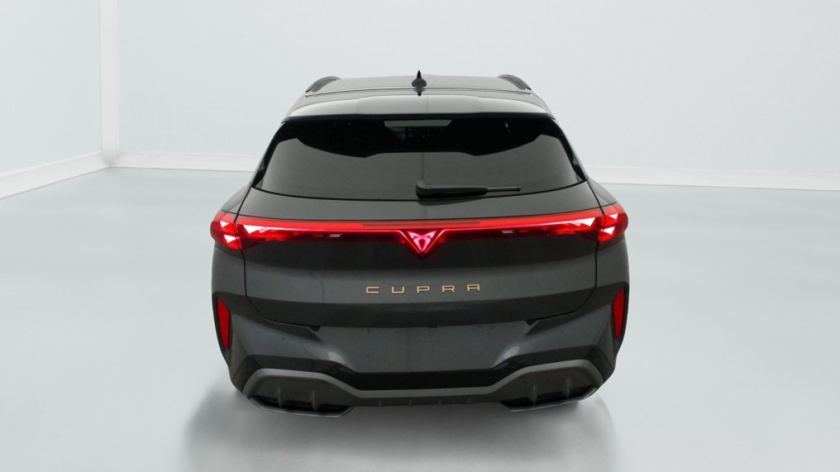 Cupra Terramar 5