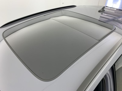 Cupra Terramar 1.5 eTSI Hybrid 150 ch DSG7 V