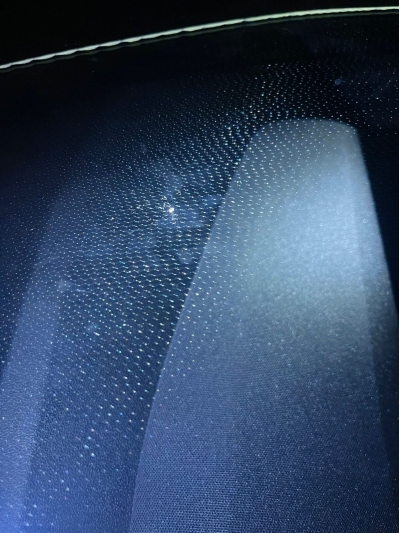 Ford Puma 1.0 EcoBoost 125 ch mHEV S&S Powershift ST-Line