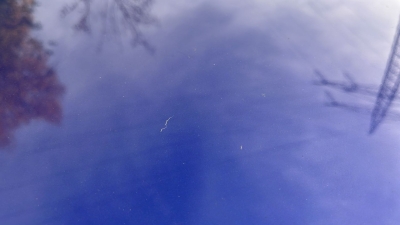 Citroën C5 X PureTech 130 S&S EAT8 Feel Pack