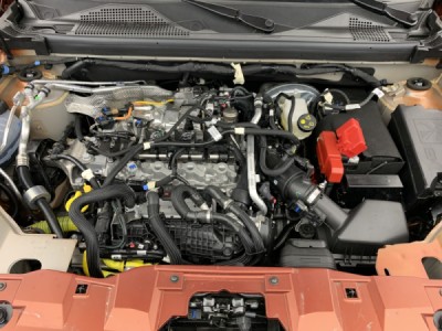 Dacia Duster Mild Hybrid 130 4x4 Extreme