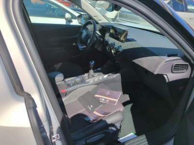 DS DS 3 PureTech 100 BVM6 Performance Line