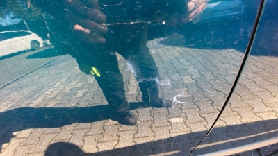 Peugeot 2008 100 S&S BVM6 Allure