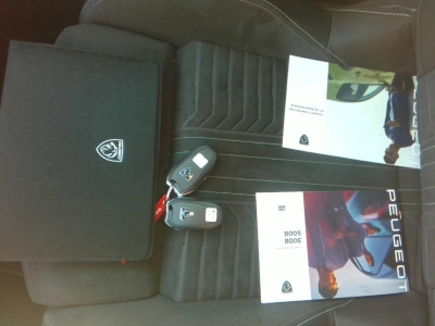 Peugeot 3008 NOUVEAU 6