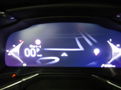 DS DS 7 BlueHDi 130 EAT8 Performance Line +