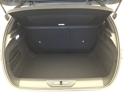 Peugeot 308 BUSINESS HYBRID 145 e-DSC6