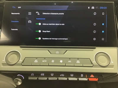 Peugeot 308 BUSINESS HYBRID 145 e-DSC6