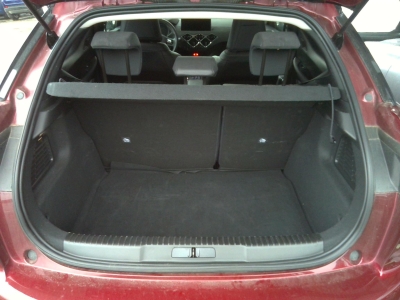DS DS 3 PureTech 100 BVM6 Performance Line