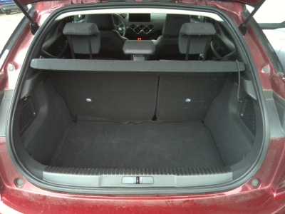 DS DS 3 PureTech 100 BVM6 Performance Line