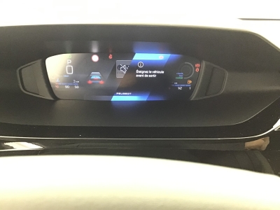 Peugeot 308 BUSINESS HYBRID 145 e-DSC6