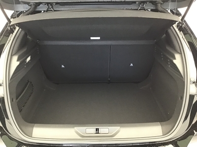 Peugeot 308 BUSINESS HYBRID 145 e-DSC6