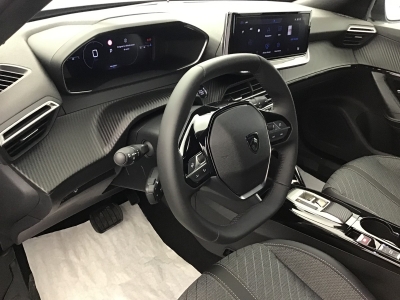 Peugeot 2008 ALLURE HYBRID 136 e-DSC6
