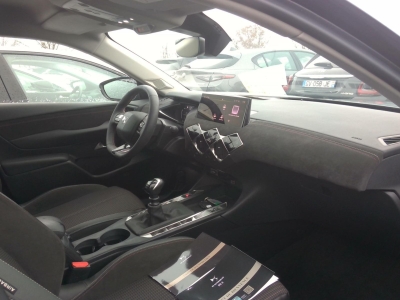 DS DS 3 PureTech 100 BVM6 Performance Line