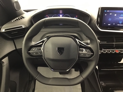 Peugeot 2008 ALLURE HYBRID 136 e-DSC6