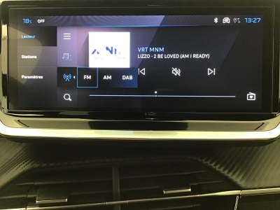Peugeot 2008 ALLURE HYBRID 136 e-DSC6