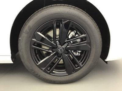 Peugeot 308 BUSINESS HYBRID 145 e-DSC6