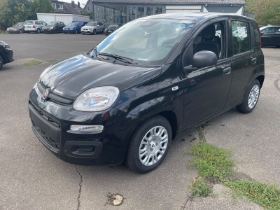 FiatPanda1.0 70 ch GSE Hybride Icon 5P