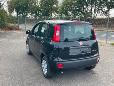 FiatPandina1.0 65 ch Hybrid BSG S/S Icon