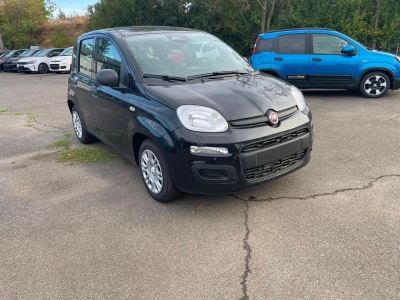 Fiat Pandina 1.0 65 ch Hybrid BSG S/S Icon -4Place