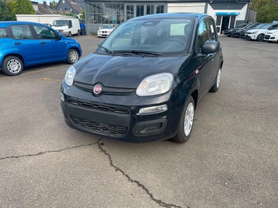 Fiat Pandina 1.0 65 ch Hybrid BSG S/S Icon -4Place