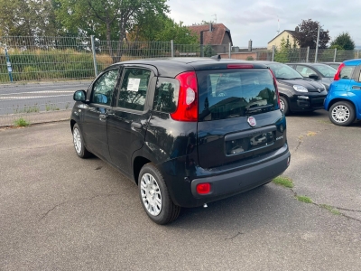Fiat Pandina 1.0 65 ch Hybrid BSG S/S Icon -4Place