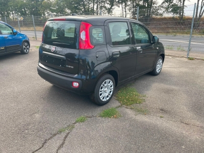 Fiat Pandina 1.0 65 ch Hybrid BSG S/S Icon -4Place