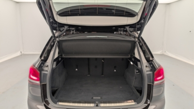 BMW X1 F48 XDRIVE 20D 190 CH BVA8 XLINE