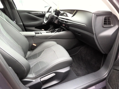 DS DS 4 E-Tense Pallas