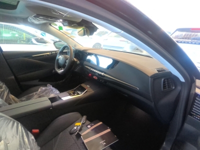 DS DS 4 E-Tense Pallas