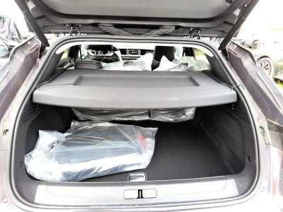 DS DS 4 E-Tense Pallas