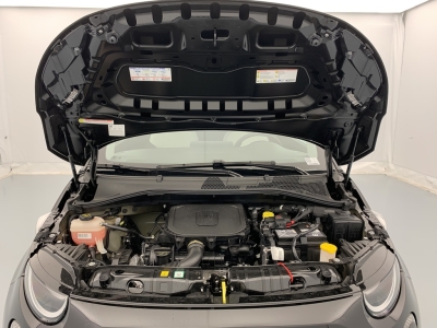 Fiat 500 1.0 65 ch Hybride Icône