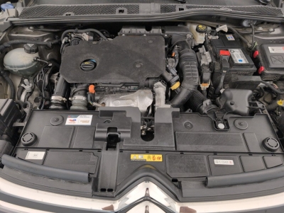 Citroën C4 BlueHDi 130 S&S EAT8 Shine